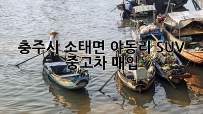 충주시 소태면 야동리 SUV 중고차 매입