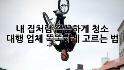 🧹✨ 내 집처럼 꼼꼼하게! 청소 대행 업체 똑똑하게 고르는 법